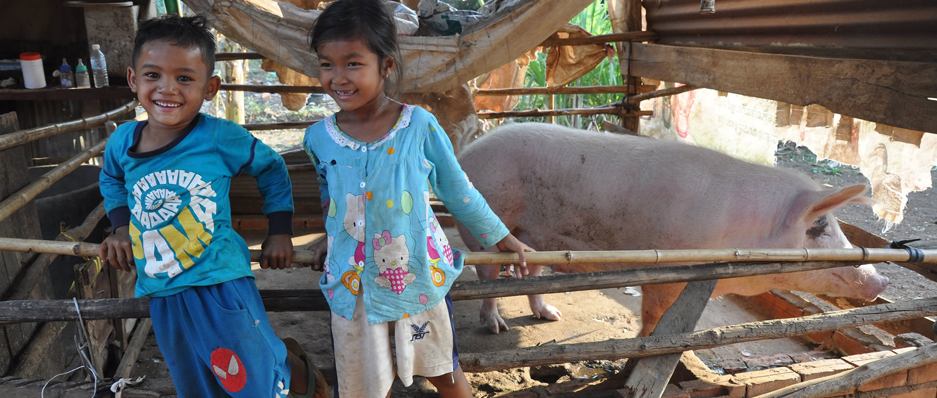 hope in the form of piglets in Cambodia banner