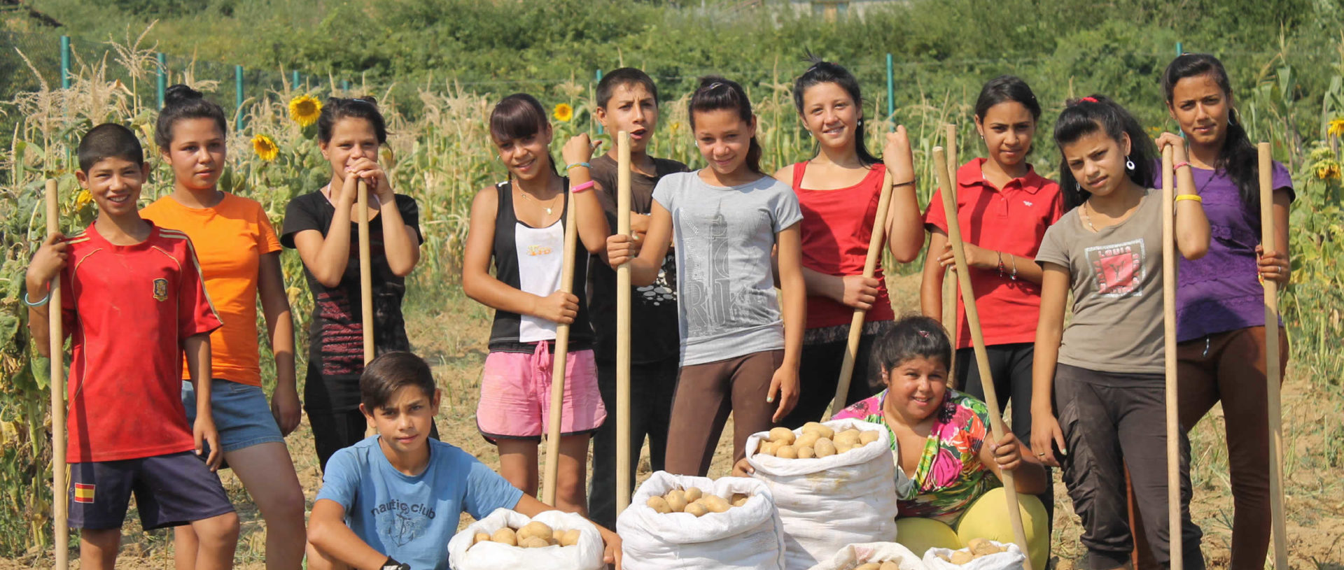 something to eat every day in Ukraine banner